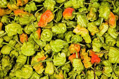 《彩虹六号：异种》联机加速的方法